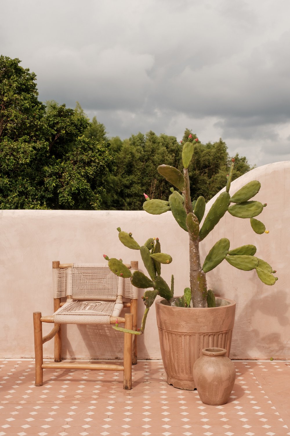 Tropical Home Wicker Chair and Cacti Plant on Rooftop