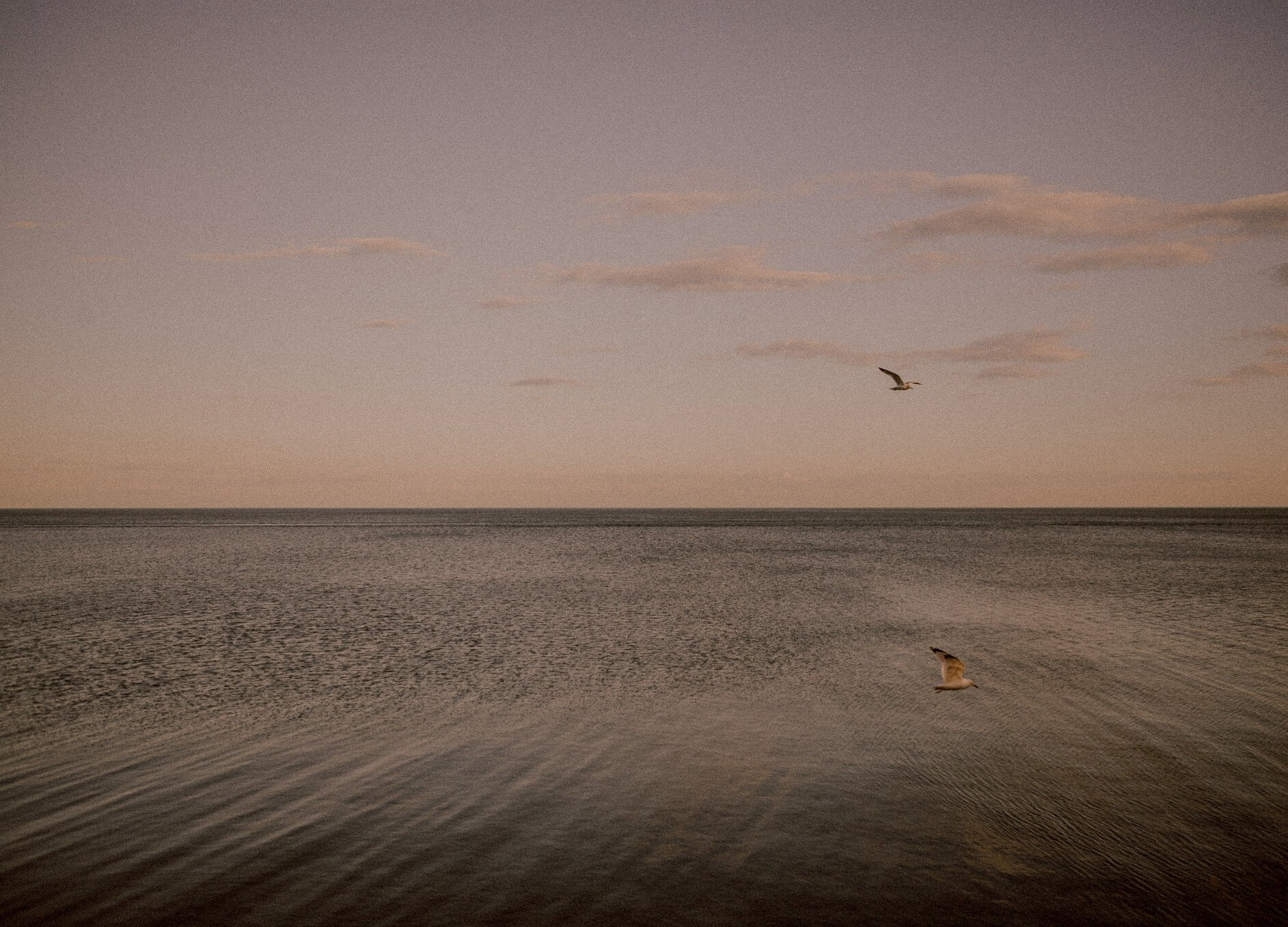 Calm Sea and Clear Sky